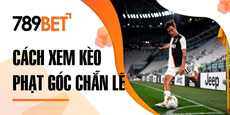 Cách xem kèo phạt góc chẵn lẻ